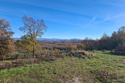 Poreč, Vižinada, dintorni, Terreno edificabile con permesso di costruzione, 17 km dal mare