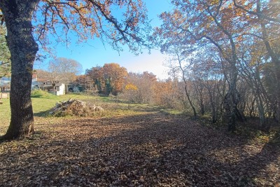 Poreč, okolí, Velký pozemek s domem na rekonstrukci