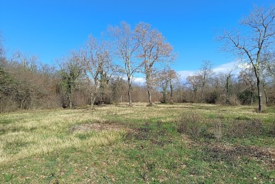 Poreč, Tar - SNIŽENA CIJENA - Građevinsko zemljište T2 zona 1,5 km od mora