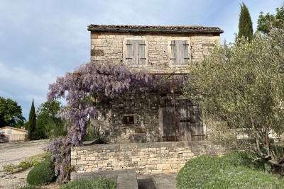 Buje, okolí, Luxusní benátský majetek na překrásné lokalitě