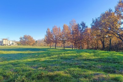 Poreč, okolica, Građevinsko zemljište na rubu manjeg sela