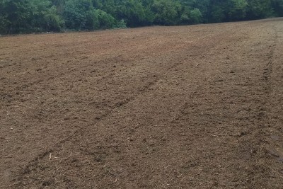 Zemljište s projektom i građevinskom dozvolom, 13 km od Poreča!