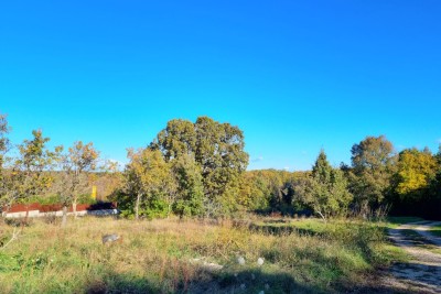 Buje, okolica, Građevinsko zemljište 2100 m2, 7 km od mora