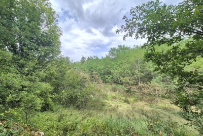 Zazidljivo zemljišče Tinjan, gostinska namembnost!