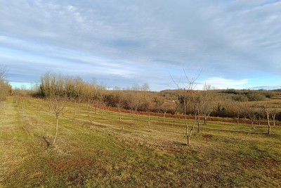 Poreč, okolica, Građevinsko zemljište 1100 m2 s negrađevinskim