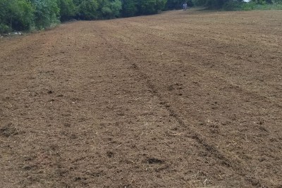 Zemljište s projektom i građevinskom dozvolom, 13 km od Poreča!