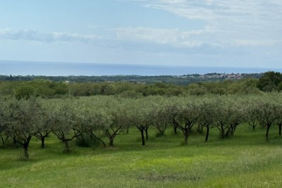 Poreč, Surroundings, Building Land with Sea View, 10 km from the Sea