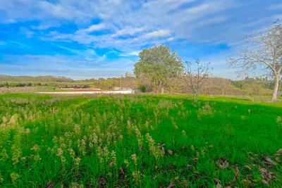 Poreč, okolica, Građevinsko zemljište s pogledom na prirodu