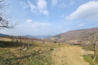 Istra, Motovun - EKSKLUZIVA AGENCIJE - Stavební pozemek s výhledem na Motovun