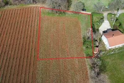 Poreč, okolica, Građevinsko zemljište s poljoprivrednim na mirnoj lokaciji, 12 km od mora