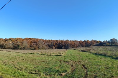 Poreč, okolí, Velký pozemek s domem na rekonstrukci