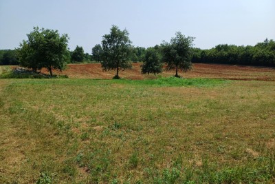Poreč, Vižinada, Surroundings, Spacious Agricultural Land, 400 m from the Settlement