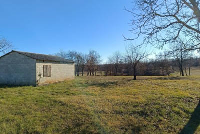 Poreč, okolica, Građevinska zemljišta na prekrasnoj mirnoj lokaciji