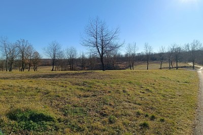 Poreč, okolica, gradbena zemljišča na čudoviti mirni lokaciji