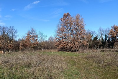 Poreč, okolí, stavební pozemek 543 m2 a zemědělský pozemek 1527 m2