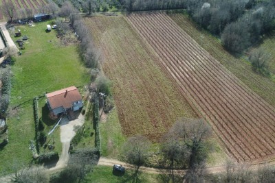 Poreč, okolica, Građevinsko zemljište s poljoprivrednim na mirnoj lokaciji, 12 km od mora