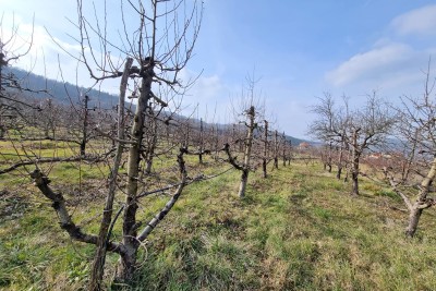 Istra, Motovun - EKSKLUZIVA AGENCIJE - Stavební pozemek s výhledem na Motovun