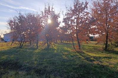 Poreč, dintorni, Terreno edificabile in una bella posizione a 6 km dal mare