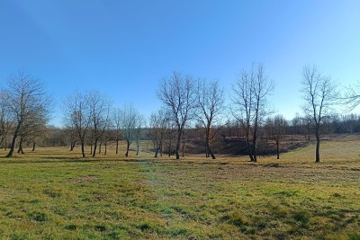 Poreč, okolica, gradbena zemljišča na čudoviti mirni lokaciji